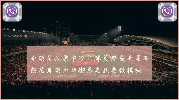 全明星投票中冷门球员崭露头角布朗尼库明加与獭兔各获票数揭秘