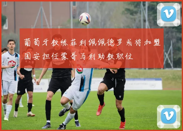 葡萄牙教练菲利佩佩德罗或将加盟国安担任蒙哥马利助教职位